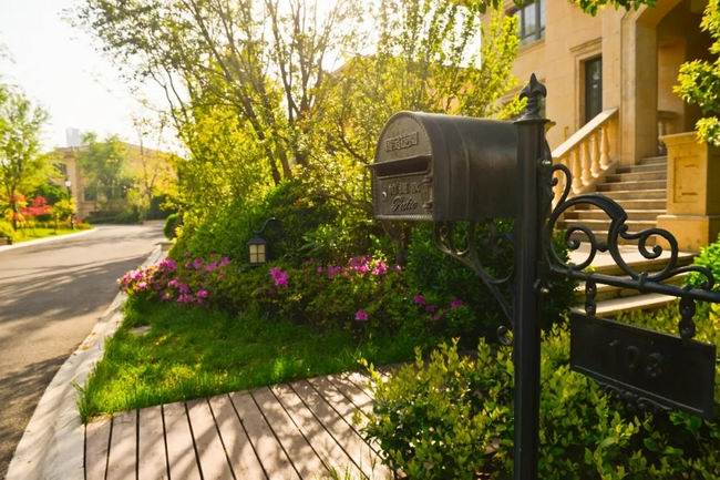 5月的国宝，，享受初夏的惬意时光